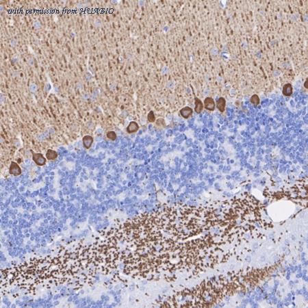 HUABIO ET7108-42 image 3