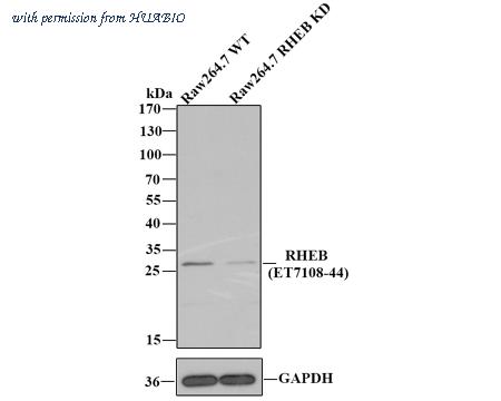HUABIO ET7108-44 image 1