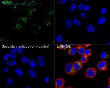 HUABIO ET7108-44 image 3