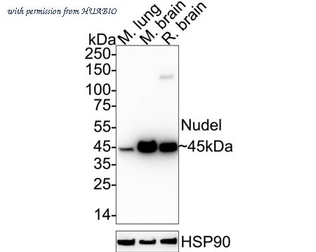 HUABIO ET7108-73 image 1