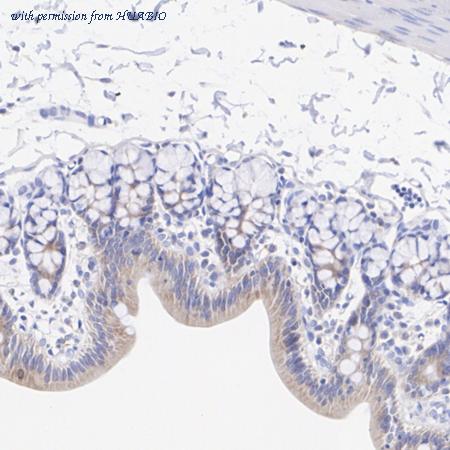 HUABIO ET7108-73 image 3