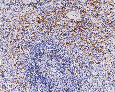 HUABIO ET7108-77 image 3