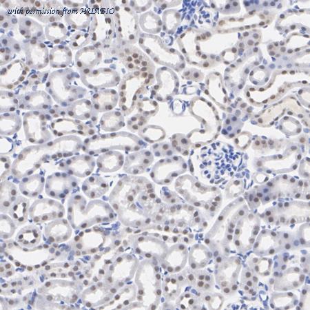 HUABIO ET7108-80 image 2