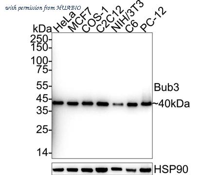 HUABIO ET7108-82 image 1