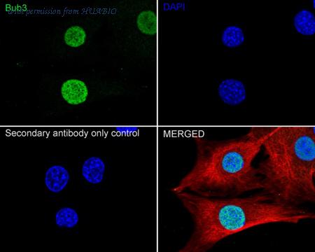 HUABIO ET7108-82 image 3
