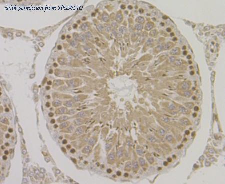 HUABIO ET7108-84 image 3