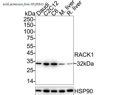 HUABIO ET7109-04 image 1