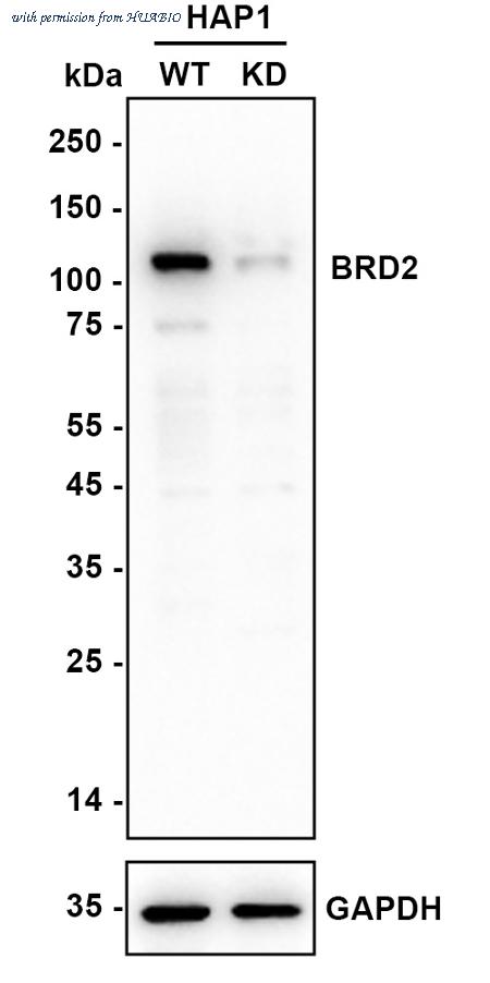 HUABIO ET7109-07 image 1