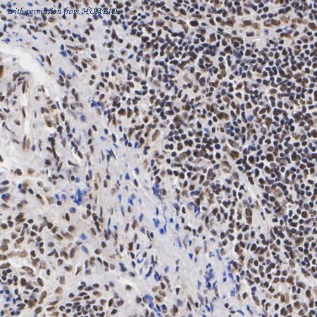 HUABIO ET7109-07 image 3