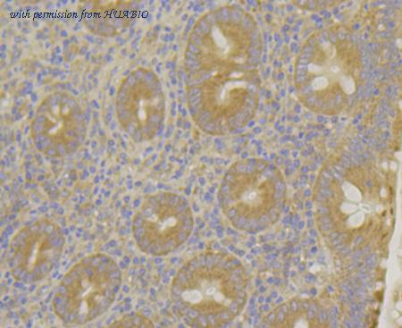 HUABIO ET7109-20 image 3