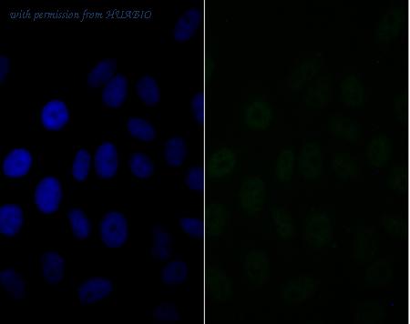 HUABIO ET7109-23 image 2