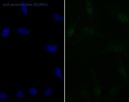 HUABIO ET7109-23 image 3