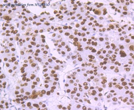 HUABIO ET7109-29 image 3