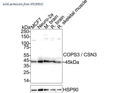 HUABIO ET7109-60 image 1
