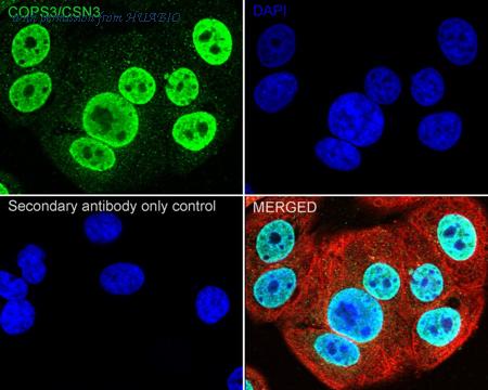 HUABIO ET7109-60 image 2