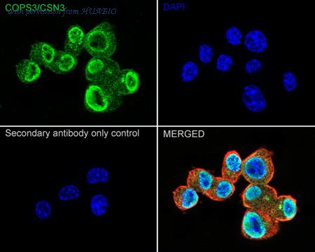 HUABIO ET7109-60 image 3