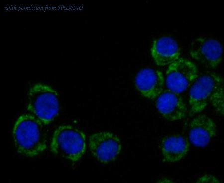 HUABIO ET7109-75 image 2