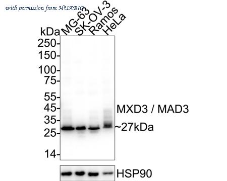 HUABIO ET7109-76 image 1