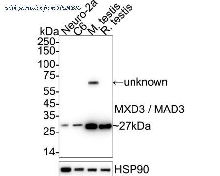 HUABIO ET7109-76 image 2