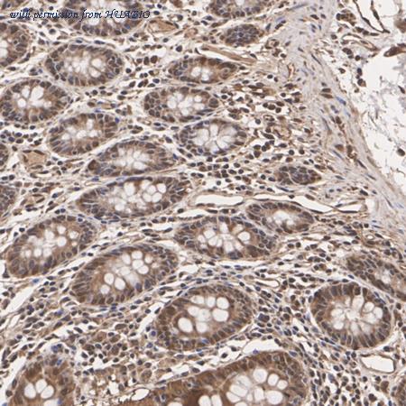 HUABIO ET7109-91 image 3