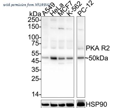 HUABIO ET7109-92 image 2