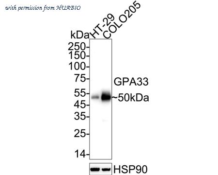 HUABIO ET7109-93 image 1
