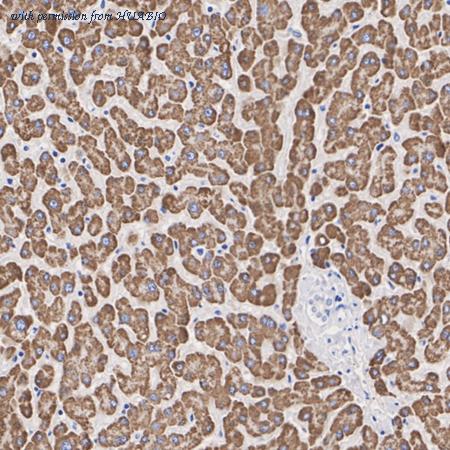 HUABIO ET7110-01 image 3