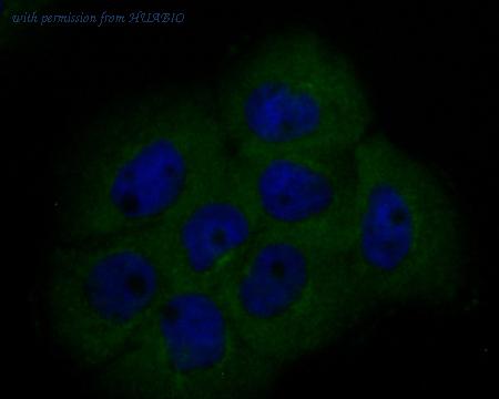 HUABIO ET7110-02 image 2