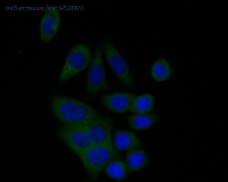 HUABIO ET7110-02 image 3