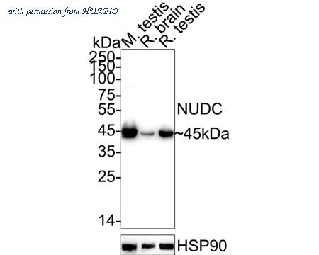 HUABIO ET7110-18 image 1