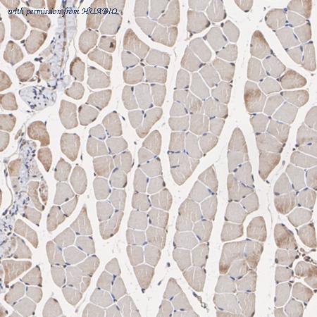 HUABIO ET7110-25 image 3