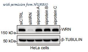 HUABIO ET7110-26 image 2