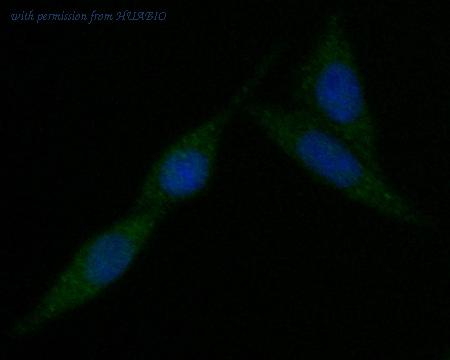 HUABIO ET7110-28 image 3