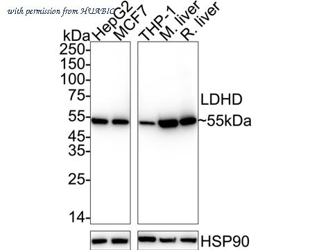 HUABIO ET7110-30 image 1
