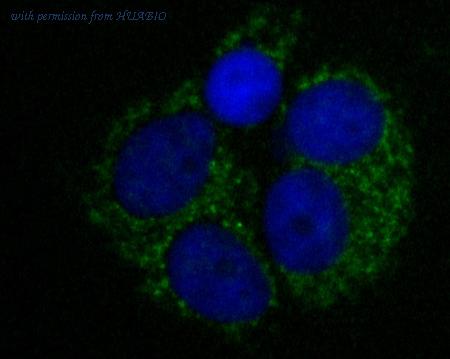 HUABIO ET7110-30 image 3