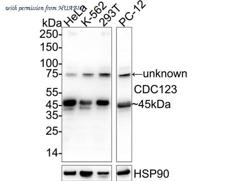 HUABIO ET7110-32 image 1