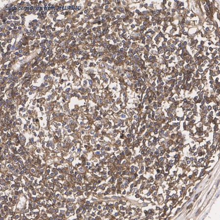 HUABIO ET7110-39 image 2