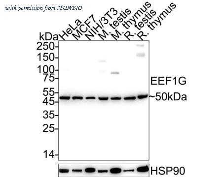 HUABIO ET7110-45 image 1