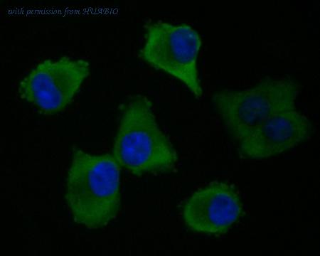 HUABIO ET7110-45 image 3