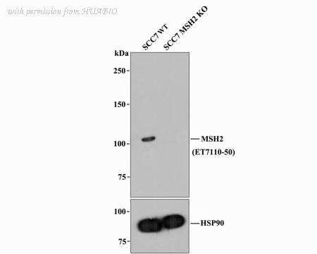HUABIO ET7110-50 image 1