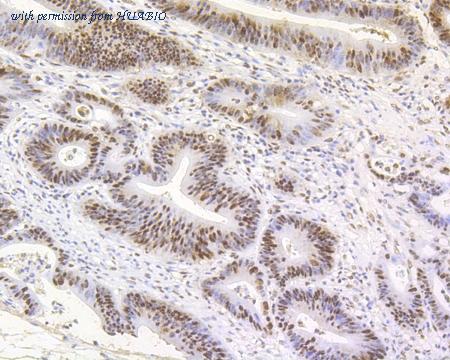 HUABIO ET7110-50 image 3