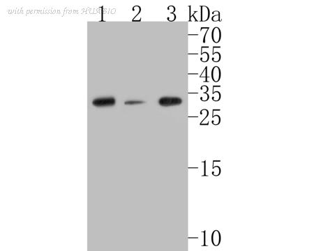 HUABIO ET7110-67 image 3