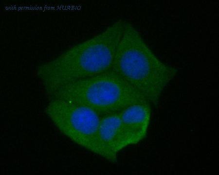 HUABIO ET7110-72 image 2