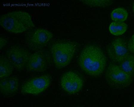 HUABIO ET7110-72 image 3