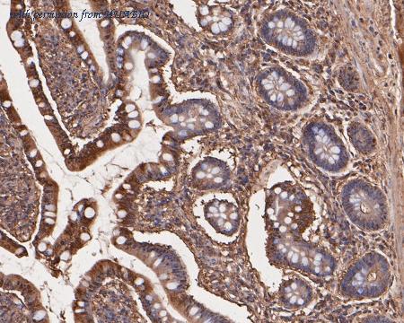 HUABIO ET7110-74 image 3