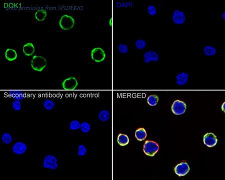 HUABIO ET7110-75 image 2