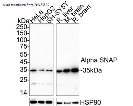 HUABIO ET7110-79 image 1