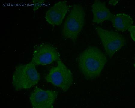 HUABIO ET7110-81 image 2