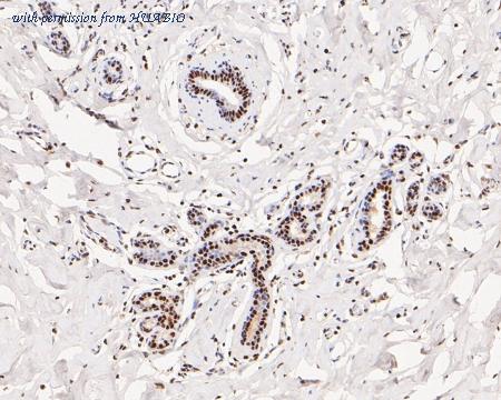 HUABIO ET7110-87 image 3