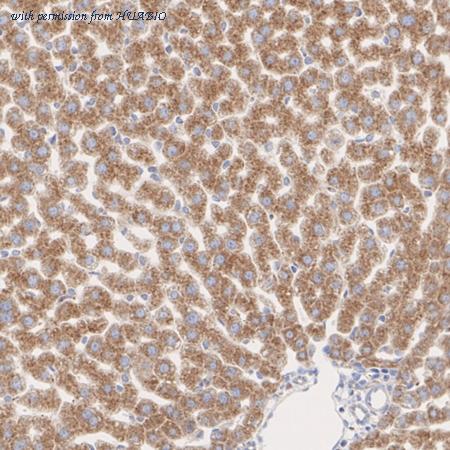 HUABIO ET7110-89 image 2